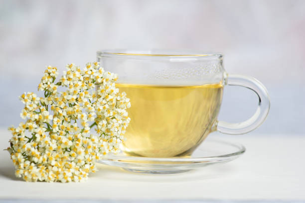 Elderflower summer cooler herbal tea served over ice
